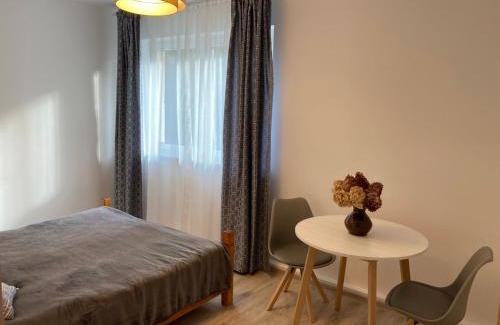 Bielsko-Biala Apartment | Apartament Kopytko