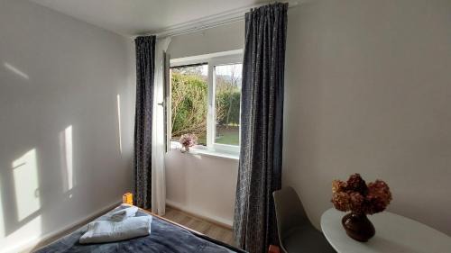 Bielsko-Biala Apartment | Apartament Kopytko