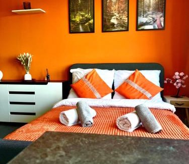 Walbrzych Apartment | Apartament Książęca Góra