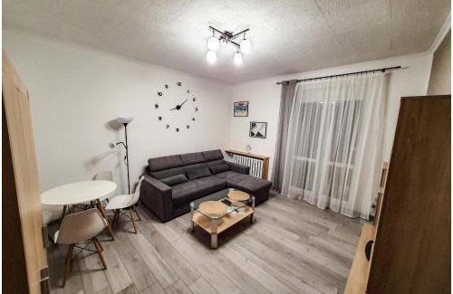 Bielsko-Biala Apartment | Apartament LENKA
