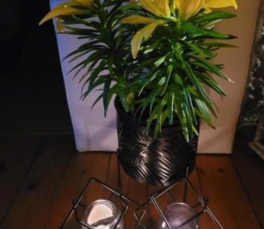 Jelenia Gora Apartment | Apartament LILLA