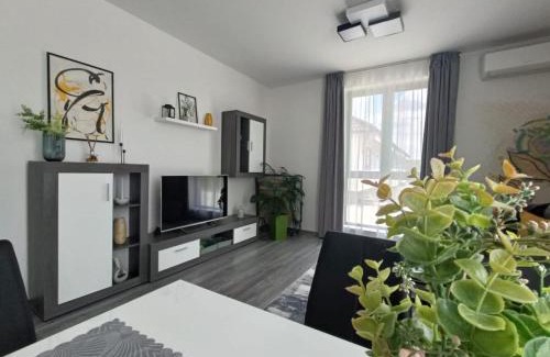 Cordau Apartment | Apartament Maia Baile Felix