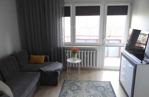 Opole Apartment | Apartament Malinka