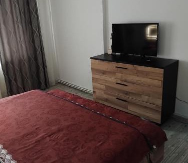 Tirgu Neamt Apartment | Apartament Manu Tg Neamt