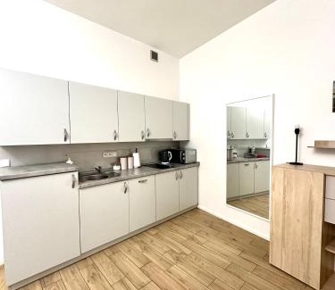 Grunwald Apartment | Apartament Matejki