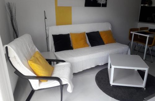 Poznan City Center Apartment | Apartament Maxi