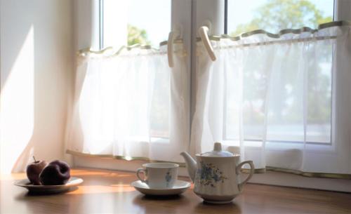 Janow Podlaski Apartment | Apartament MGM Janów Podlaski