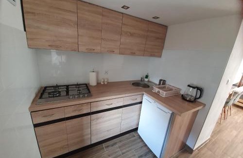 Stronie Slaskie Apartment | Apartament Mickiewicza