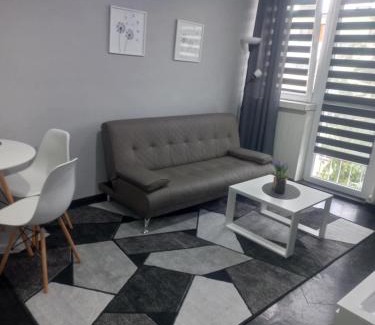 Dzierzoniow Apartment | Apartament na Jasnym