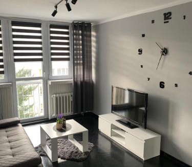 Dzierzoniow Apartment | Apartament na Jasnym