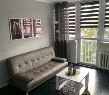Dzierzoniow Apartment | Apartament na Jasnym