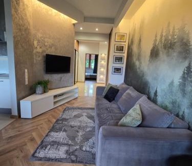 Zwierzyniec Apartment | Apartament na Miodowej