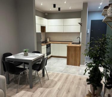 Ruda Slaska Apartment | Apartament Niedurnego 38