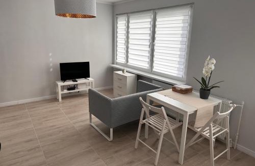 Dzierzoniow Apartment | APARTAMENT OŚ. ZŁOTE 5F