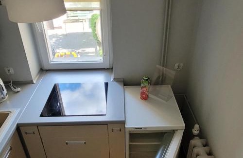 Naklo nad Notecia Apartment | Apartament