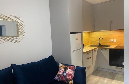 Okuninka Apartment | APARTAMENT PLUS