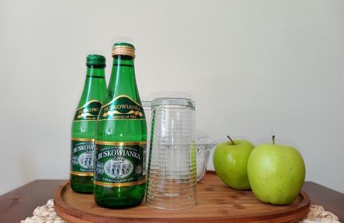 Busko-Zdroj Apartment | Apartament Pod Kasztanami