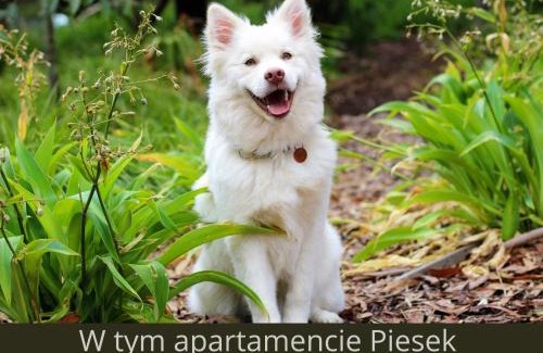 Szczyrk Apartment | Apartament Pod Skocznią