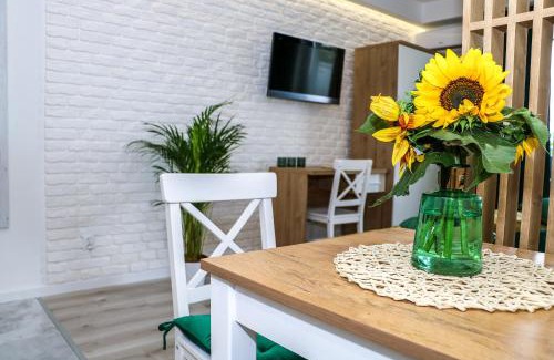 Bialystok Apartment | Apartament Podlaskidron