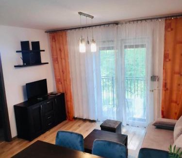 Jastrzebie-Zdroj Apartment | Apartament Podmiejska