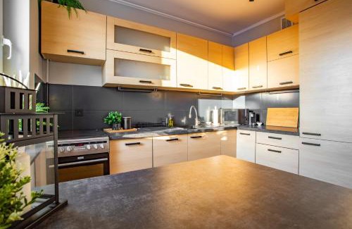 Nowe Miasto Apartment | Apartament Polan 50 - Rataje