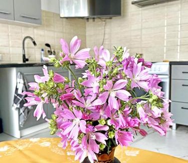 gmina Bedzino Apartment | Apartament przy łysej polanie