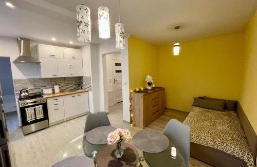 Niedzwiedz Apartment | Apartament przy Parku Wodzickich - blisko Term, Turbacz, KGP