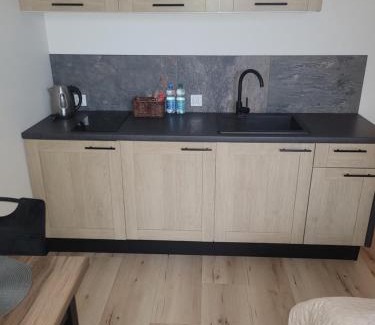 Elblag Apartment | Apartament przy Starówce z tarasem