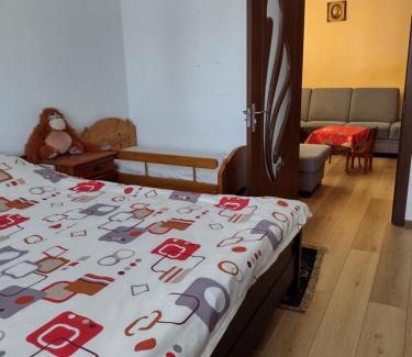 Radauti Apartment | Apartament Rădăuți