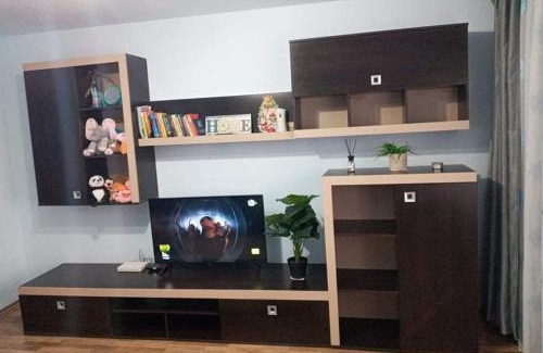 Ramnicu Valcea Apartment | apartament Ramnicu Valcea