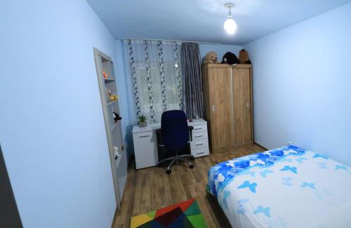 Ramnicu Valcea Apartment | apartament Ramnicu Valcea