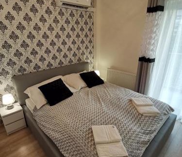 Psie Pole Apartment | Apartament Reymonta