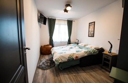 Campulung Moldovenesc Apartment | Apartament All New