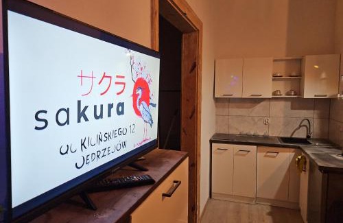 Jedrzejow Apartment | Apartament rodzinny SAKURA