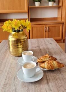 Jelenia Gora Apartment | Apartament rustykalny