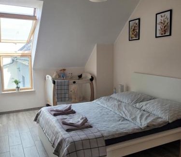 Bolszewo Apartment | Apartament Słowińców 61