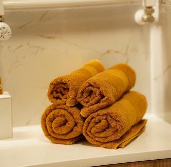 Swiecie Apartment | Apartament Sobieskiego