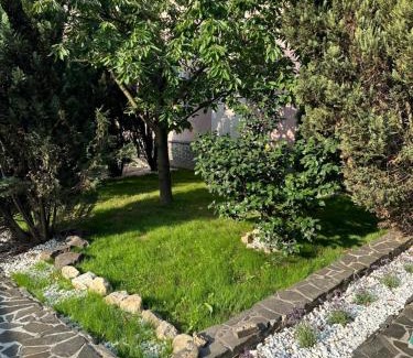 Baia Mare Apartment | Apartament Sofia