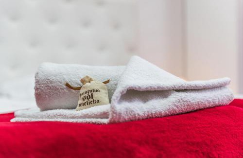 Wieliczka Apartment | Apartament Solny Wieliczka Centrum 5