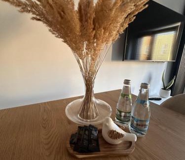 Sroda Wielkopolska Apartment | Apartament Stara Środa