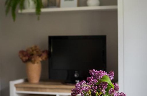 Zamosc Apartment | Apartament Studio 24