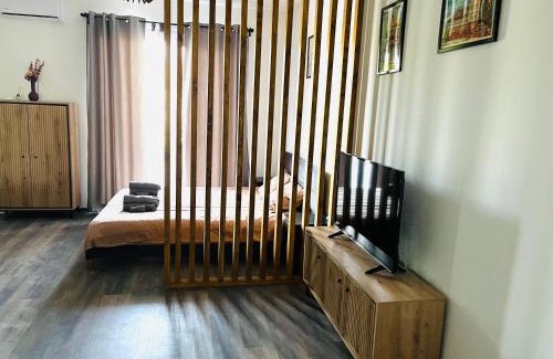 Timisoara Apartment | Apartament Studio BiAn