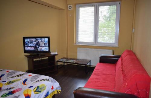 Baia Mare Apartment | Apartament Transilvaniei RHBM