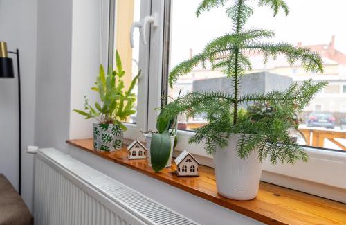 Polanica-Zdroj Apartment | Apartament u Andrzeja