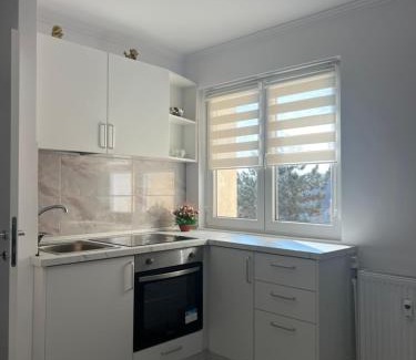 Radauti Apartment | Apartament Ultracentral