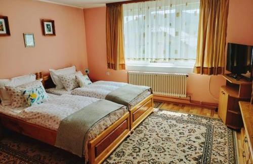 Gura Humorului House | Apartament Vica