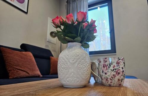 Skorochow Apartment | Apartament Vici nad jeziorem Nyskim