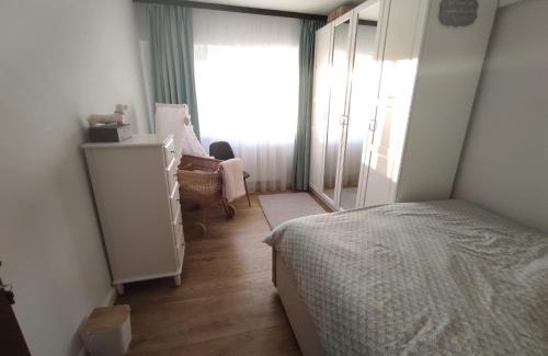 Suceava Apartment | Apartament Vis Ramiro