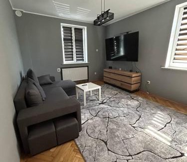 Zory Apartment | Apartament w Centrum Żor