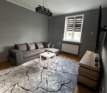 Zory Apartment | Apartament w Centrum Żor
